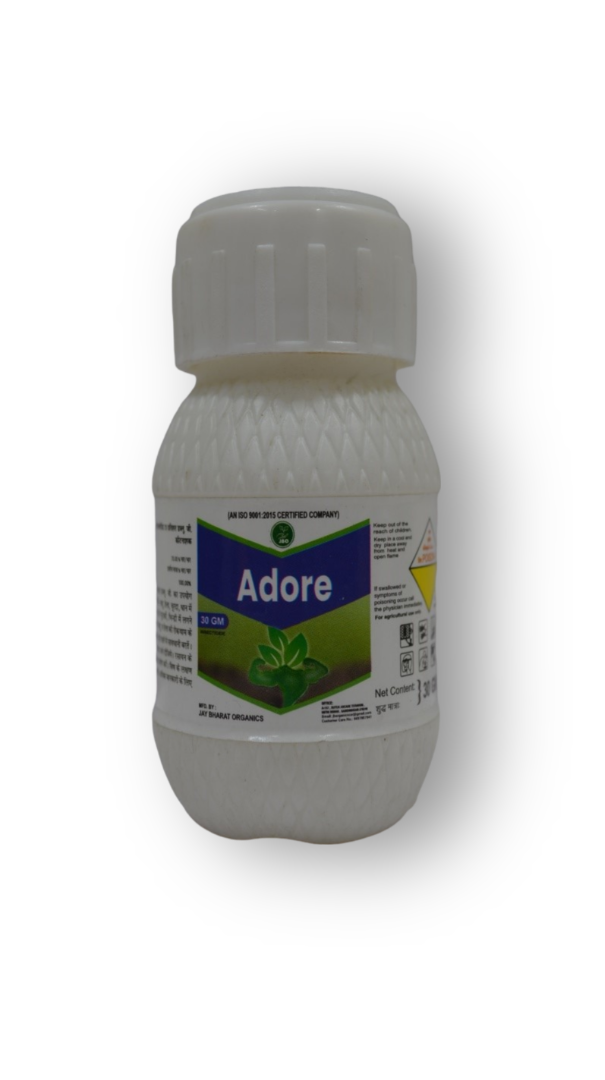 Adore 