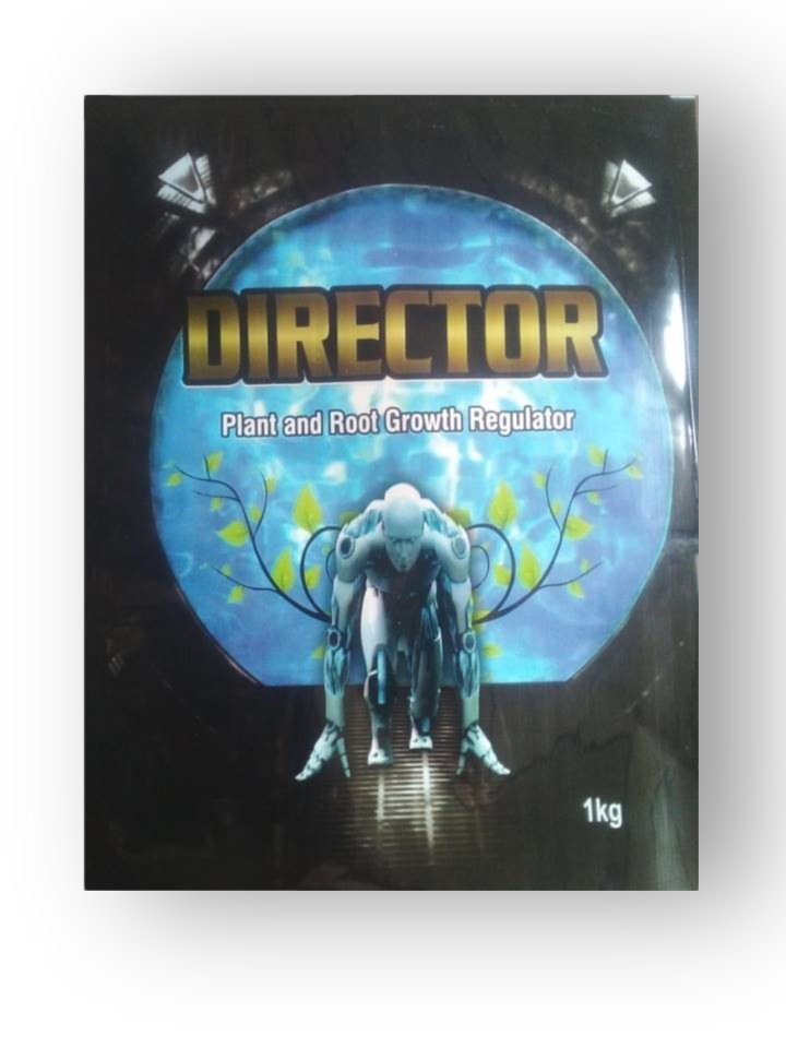 Director