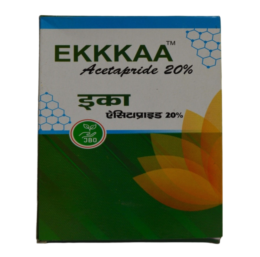 Ekkkaa 