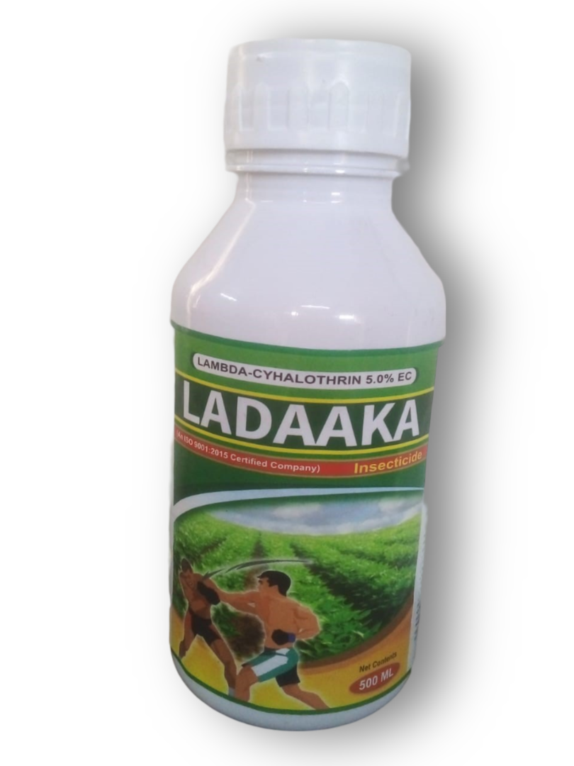 LADAAKA 