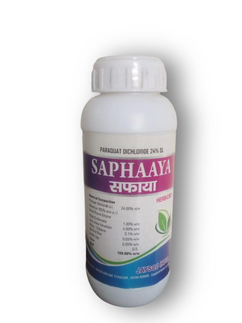 SAPHAAYA 