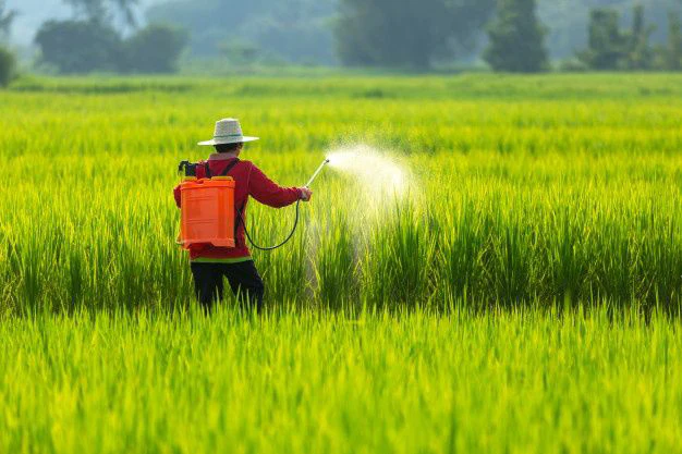 Insecticides